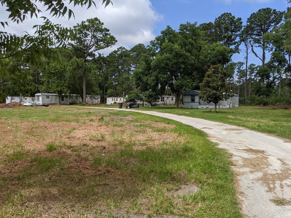 circular drive through park
