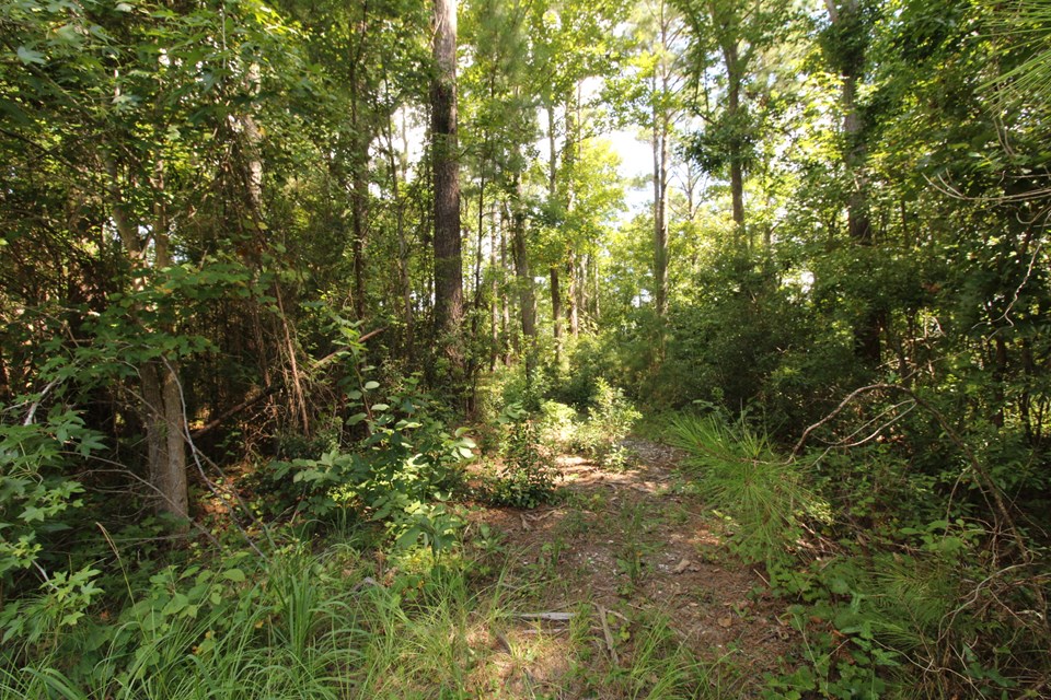 high area for homesite
