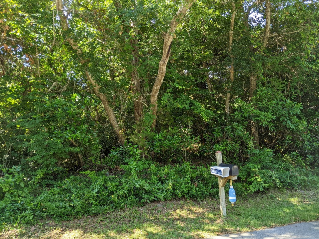 view of lot from mclean dr