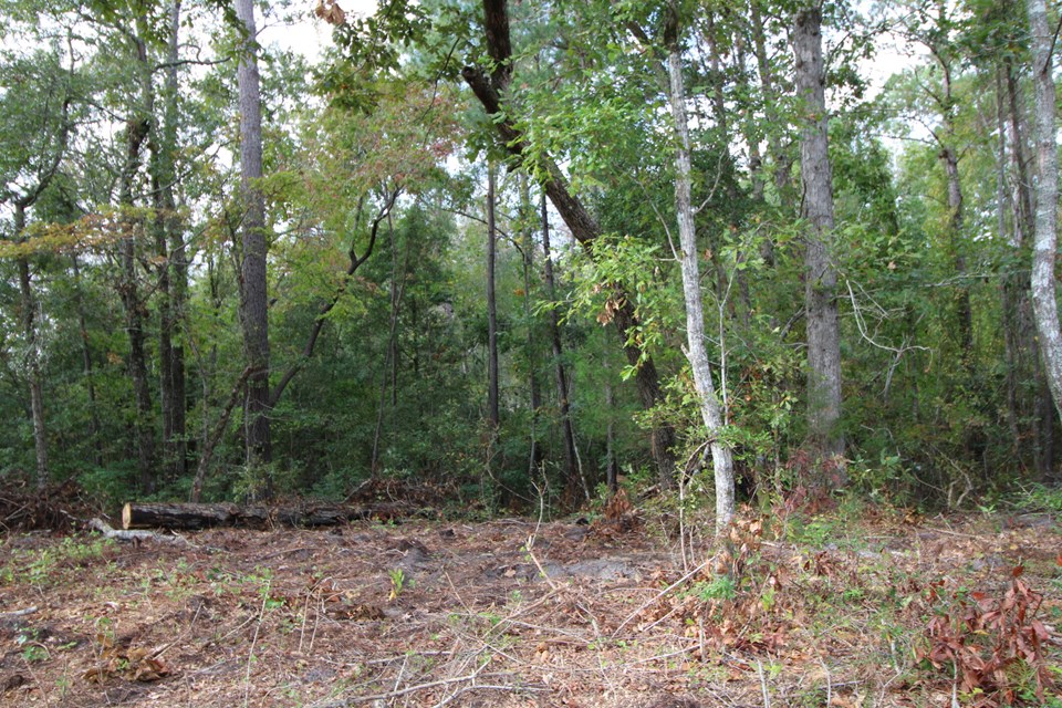 another interior view lot has a new septic tank permit for 4 bedroom, 2 bath home. issued nov 2020