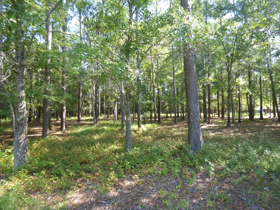 118 White Swan Way Swansboro, NC Crystal Coast, NC Real Estate